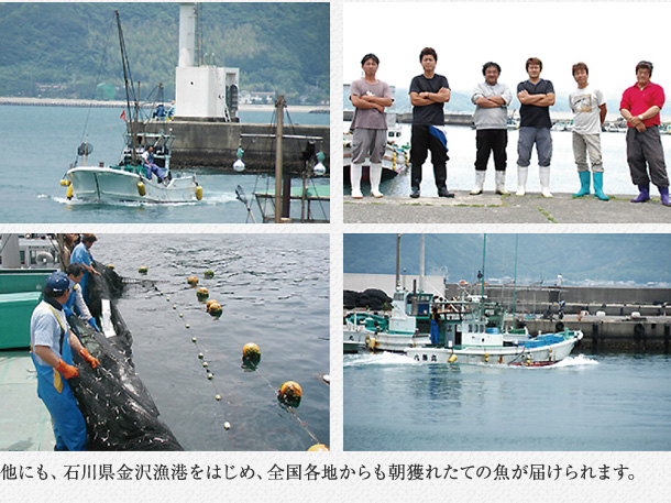 他にも、石川県金沢漁港をはじめ、全国各地からも朝獲れたての魚が届けられます。